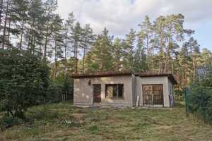 PROVISIONSFREI | Neuwertiger Bungalow, Fußbodenheizung, Kamin auf großem Grundstück in Seenähe – Ostprignitz-Ruppin (Kreis) – Vorschaubild 11