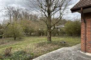 Wohnen mit großem Garten: Großzügiges Haus in Münster-Nienberge
