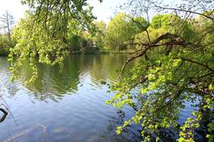 Der Preis ist heiß! Anlage ETW Im Herzen der Hauptstadt; zwischen Englischem Viertel und Volkspark – Die vollständige Adresse der Immobilie erhältst du vom Anbieter., 13349 Wedding, Berlin – Vorschaubild 5