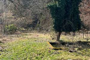 Einfamilienhaus auf großem Grundstück in Naturschutzgebiet mit Baurechtreserve// – Moos 28, 85614 Kirchseeon – Vorschaubild 3
