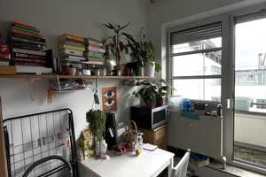 Studentenappartment direkt bei OTH/Universität – Regensburg – Vorschaubild 4