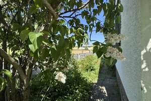 *RESERVIERT* Gestalten Sie Ihr Traumhaus: Einfamilienhaus mit Wintergarten und Garten in Brehna – Anhalt-Bitterfeld (Kreis) – Vorschaubild 14