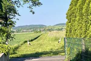 Großes Einfamilienhaus mit Einliegerwohnung in direkter Feldrandlage - von privat! – Wetteraukreis – Vorschaubild 37