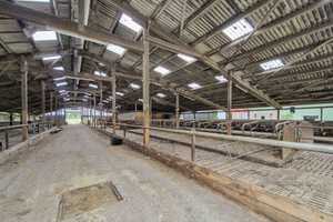 Sanierter Resthof mit 3,6 ha (36.238m²) in Mühlenbarbek zu verkaufen – Steinburg (Kreis) – Vorschaubild 6