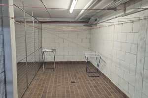 1-Zimmer-Wohnung in Wiesbaden-Biebrich – Die vollständige Adresse der Immobilie erhältst du vom Anbieter., 65203 Biebrich, Wiesbaden – Vorschaubild 11