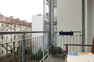 Sonnige möblierte Wohnung in Herzen von Mitte Berlin – Schönholzerstrasse 8, 10115 Mitte (Ortsteil), Berlin – Vorschaubild 19