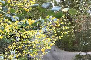 Property thumbnail 18