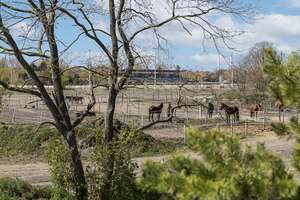 Property thumbnail 27