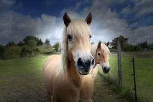 Property thumbnail 21