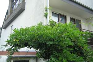 Zuhause mit viel Platz in Mannheim – 68219 Rheinau, Mannheim – Vorschaubild 10