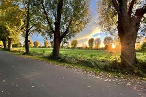 Property thumbnail 22