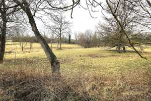 Gutshaus mit 1.486 m² großen Grundstück erweiterbar auf 3000 m² bei Bad Dürrenberg – Leipzig – Vorschaubild 28