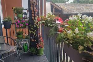 Wohnen mit Charakter: Zwei-Zimmer-Wohnung in Nörvenich – 52388 Nörvenich – Vorschaubild 6