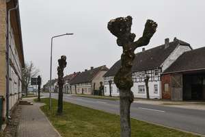 Kapitalanleger aufgepasst - Gut vermietetes Mehrfamilienhaus in Miesterhorst – Die vollständige Adresse der Immobilie erhältst du vom Anbieter., 39649 Miesterhorst – Vorschaubild 9