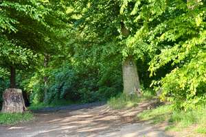 MEHR ALS EIN ZUHAUSE - EIN LEBENSGEFÜHL !!! – Die vollständige Adresse der Immobilie erhältst du vom Anbieter., 58119 Hohenlimburg (Ortsteil), Hagen – Vorschaubild 60