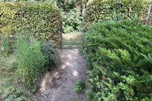 Idyllische & ruhige Lage direkt am Wald – Die vollständige Adresse der Immobilie erhältst du vom Anbieter., 3246 Crinitz – Vorschaubild 8