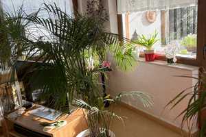 Sonnige Doppelhaushälfte in zentraler Lage mit Garten und Garage – Enzkreis – Vorschaubild 5
