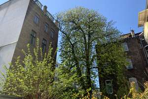 Traumhafte Singlewohnung mit idyllischem Innenhof im Media Park Viertel – Maybachstraße 96, 50670 Neustadt/Nord, Köln – Vorschaubild 9