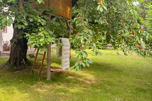 Einfamilienhaus mit schönem Garten mitten in Stöckheim – Die vollständige Adresse der Immobilie erhältst du vom Anbieter., 38124 Stöckheim-Leiferde, Braunschweig – Vorschaubild 3