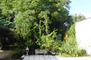 + Darmstadt-Arheilgen mit großem Gartenparadies - Freistehend mit Garagen und großem Garten +
