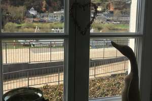Kompakt wohnen in Trier: 1-Zimmer-Apartment in Zurlauben – Zurlaubener Ufer 92, 54292 Nord, Trier – Vorschaubild 10