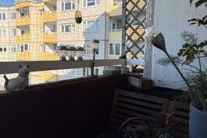 Gut geschnittene 4-Zimmer-Wohnung – Kiel – Vorschaubild 14