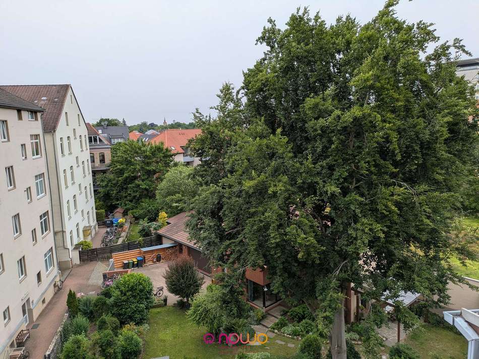 Ausblick zur Rückseite