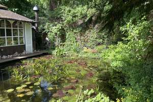 Energetisch saniertes EFH in Alt-Nettelnburg mit traumhaftem Gartenparadies – Die vollständige Adresse der Immobilie erhältst du vom Anbieter., 21035 Bergedorf (Ortsteil), Hamburg – Vorschaubild 14