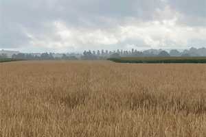 WAHNSINNS AUSBLICK: Freistehendes EFH mit Blick über Felder bis zum Deister – Hannover (Kreis) – Vorschaubild 19