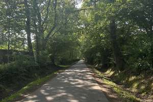 Property thumbnail 8