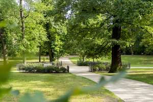 Property thumbnail 12