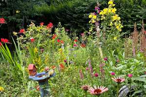 Altes Bauernhaus für Selbstversorger, Träumer, Individualisten mit Bauerngarten und Obstgehölzen! – Mühltalweg 74, 41844 Wegberg – Vorschaubild 10