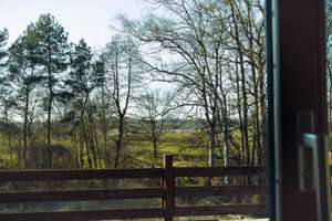 Landhaus unter Reet, teilsaniert, am See, inkl. Gästewohnung, Stallungen, Weiden und Wald. – Die vollständige Adresse der Immobilie erhältst du vom Anbieter., 19406 Witzin – Vorschaubild 37