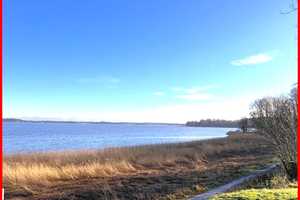 Borgwedel -
Kleine Wohnidylle nahe der Schlei – Schleswig-Flensburg (Kreis) – Vorschaubild 19