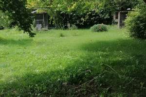 Viel Platz für Ideen – 5 Zimmer-Haus 160 m² Wfl. mit Werkstatt, Partyraum & großem Garten bei Berlin – Kurzlipsdorf 31, 14913 Niedergörsdorf – Vorschaubild 8