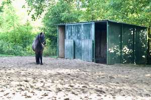 DIE BESONDERE IMMOBILIE – DER „SCHUNTERWIESENHOF“ IN WOLFSBURG – HEILIGENDORF – Die vollständige Adresse der Immobilie erhältst du vom Anbieter., 38444 Heiligendorf, Wolfsburg – Vorschaubild 49