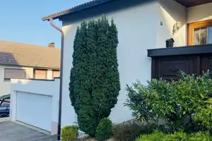 Geräumiges, preiswertes 9-Zimmer-Einamilienhaus mit Einliegerwohnung in FDS – Freudenstadt (Kreis) – Vorschaubild 5