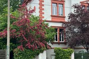 Besondere Altbauwohnung im Leutzscher Villenviertel mit Garten