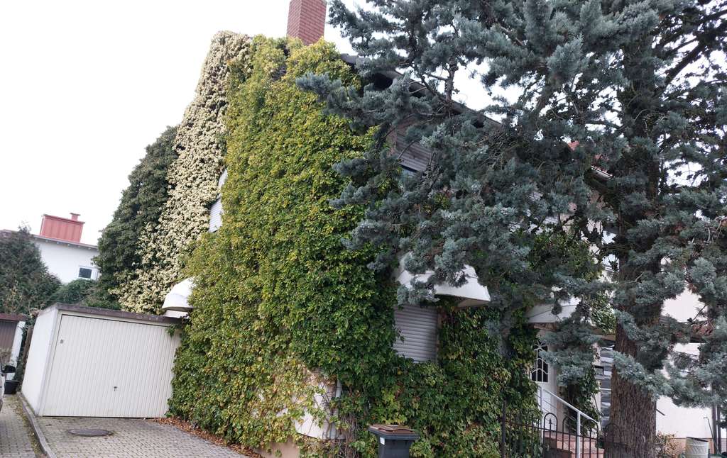 Immobilie in Maxdorf - 4-Zimmer Reihenendhaus mit Garage in Maxdorf - Bild 0