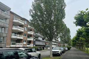 Oberkassel - Rheinallee! Großzügige Eigentumswohnung im 2. OG mit Rheinblick und Sonnengarantie! – Die vollständige Adresse der Immobilie erhältst du vom Anbieter., 40545 Oberkassel, Düsseldorf – Vorschaubild 22