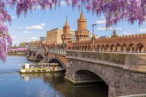 Property thumbnail 12