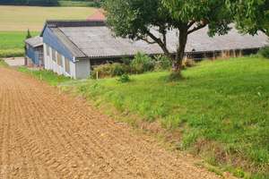 Einfamilienhaus mit 5 Zimmern in Gondelsheim (optoinal mit kleiner Halle) – Die vollständige Adresse der Immobilie erhältst du vom Anbieter., 75053 Gondelsheim – Vorschaubild 3