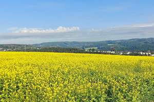 TOP Gelegenheit ! Landwirtschaftlicher Hof inkl. ca. 8,5 ha Ländereien – Die vollständige Adresse der Immobilie erhältst du vom Anbieter., 42399 Langerfeld-Beyenburg, Wuppertal – Vorschaubild 4