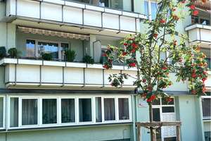 Helle 2-Zimmer-Wohnung mit Balkon und TG Stellplatz im Norden von Nürnberg