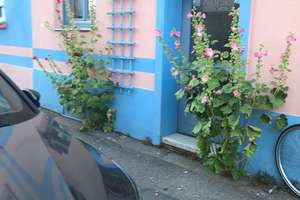 Charmantes Ein-, Zwei oder Mehrfamilienhaus mit flexiblem Grundriss in Köln – vielseitig nutzbar! – Suitbertstr. 23-25, 51067 Holweide, Köln – Vorschaubild 2