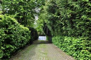 Property thumbnail 21