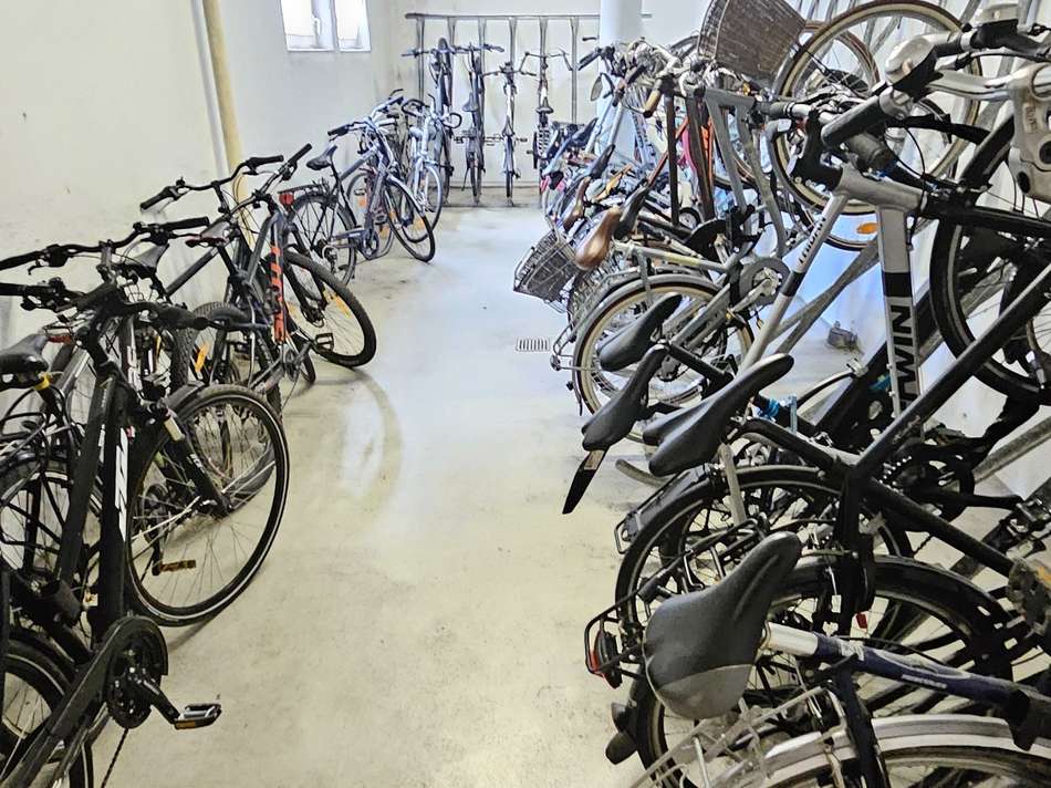 20250915_120955_resized