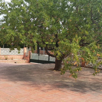 Immobilien zum Verkauf in Botarell