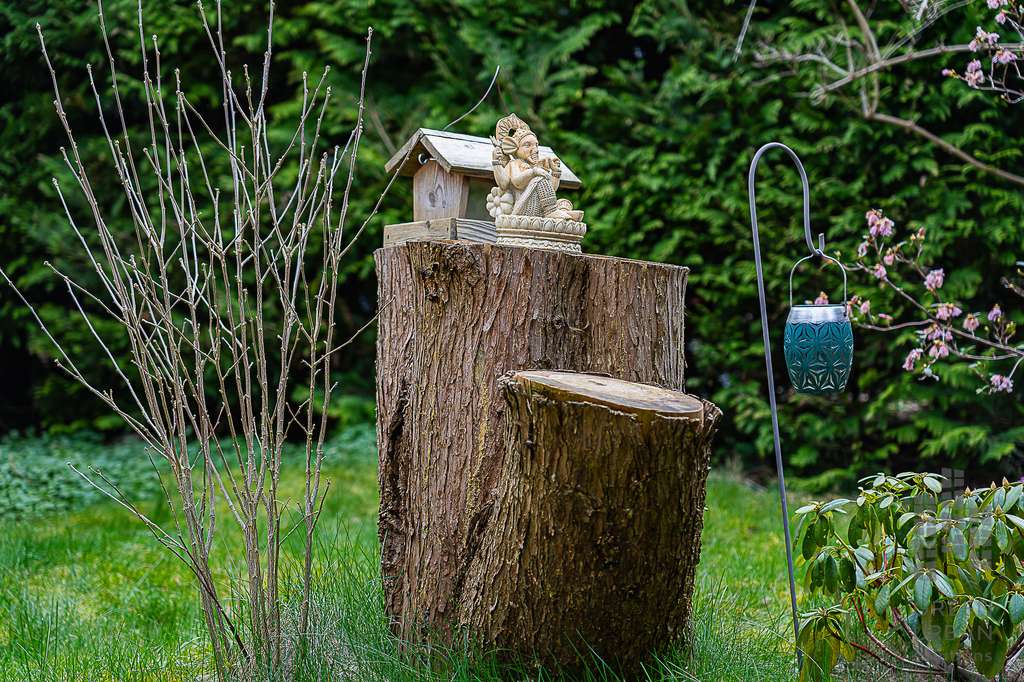 Wohnbaugrundstück mit saniertem Bungalow mit Keller und Garten im Herzen von Hohen Neuendorf!