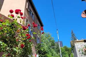 Property thumbnail 12